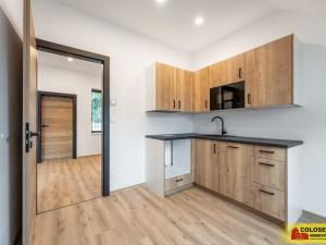 Pronájem bytu 1+kk, Brno - Husovice, 49 m2