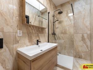 Pronájem bytu 1+kk, Brno - Husovice, 49 m2