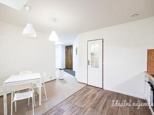 Pronájem bytu 1+kk, Praha - Vinohrady, Mánesova, 63 m2
