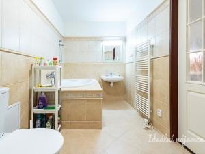 Pronájem bytu 1+kk, Praha - Vinohrady, Mánesova, 63 m2