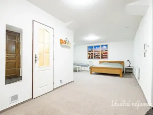 Pronájem bytu 1+kk, Praha - Vinohrady, Mánesova, 63 m2