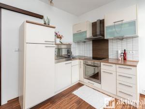 Prodej bytu 1+kk, Praha - Žižkov, Pod lipami, 32 m2