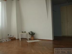 Prodej bytu 2+1, Opava - Předměstí, Olomoucká, 135 m2