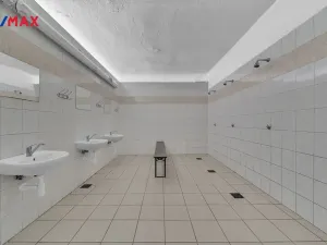 Prodej chalupy, Vysoká Srbská, 900 m2