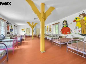 Prodej chalupy, Vysoká Srbská, 900 m2