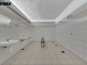 Prodej chalupy, Vysoká Srbská, 900 m2