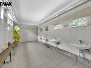 Prodej chalupy, Vysoká Srbská, 900 m2