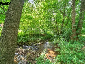 Prodej chalupy, Vysoká Srbská, 900 m2