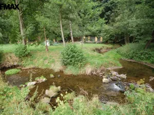 Prodej chalupy, Vysoká Srbská, 900 m2