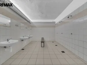 Prodej chalupy, Vysoká Srbská, 900 m2