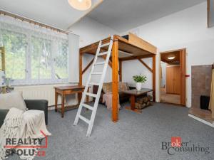 Prodej rodinného domu, Janov nad Nisou, 379 m2