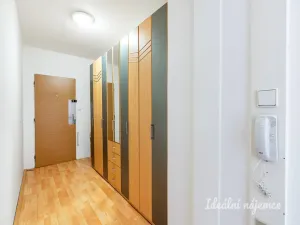 Pronájem bytu 3+1, Praha - Chodov, Brandlova, 83 m2