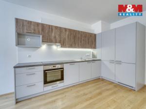 Pronájem bytu 2+kk, Plzeň - Jižní Předměstí, Karlova, 52 m2