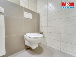 Pronájem bytu 2+kk, Plzeň - Jižní Předměstí, Karlova, 52 m2