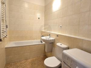 Pronájem bytu 2+kk, Praha - Vysočany, Podkovářská, 53 m2