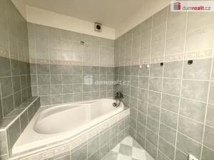 Pronájem bytu 2+1, Ústí nad Labem - Klíše, Klíšská, 52 m2