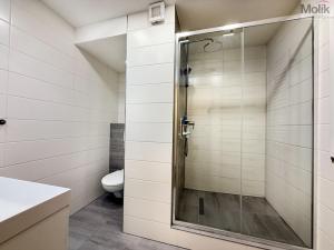 Pronájem bytu 2+1, Osek, Lidická, 52 m2