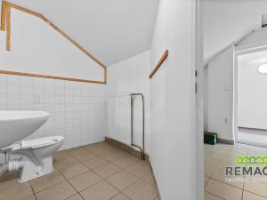 Prodej rodinného domu, Staré Město, Velkomoravská, 216 m2