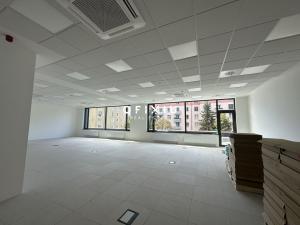 Pronájem kanceláře, Brno, Botanická, 241 m2