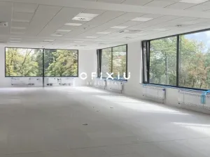 Pronájem kanceláře, Brno, Botanická, 481 m2