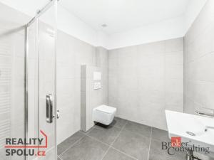 Pronájem bytu 2+kk, Břasy, 40 m2