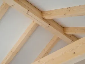 Prodej rodinného domu, Tisá, 34 m2