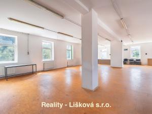 Pronájem výrobních prostor, Libouchec, 261 m2