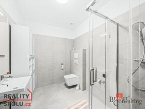 Pronájem bytu 2+kk, Břasy, 46 m2