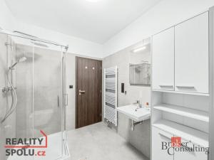 Pronájem bytu 2+kk, Břasy, 46 m2