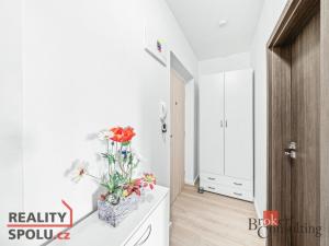 Pronájem bytu 2+kk, Břasy, 46 m2