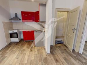 Pronájem bytu 1+1, Plzeň, Čechova, 46 m2