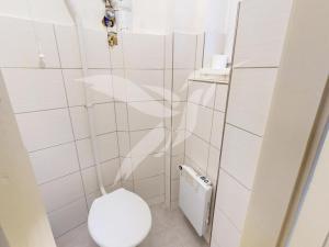 Pronájem bytu 1+1, Plzeň, Čechova, 46 m2