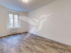 Pronájem bytu 1+1, Plzeň, Čechova, 46 m2