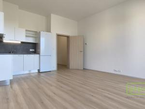 Pronájem bytu 1+kk, Brno - Židenice, Gajdošova, 34 m2
