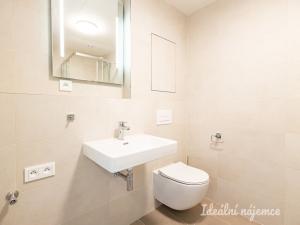 Pronájem bytu 1+kk, Praha - Kamýk, Zimova, 34 m2