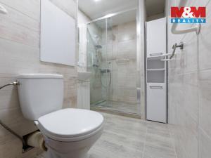 Prodej bytu 1+1, Sokolov, Švabinského, 47 m2