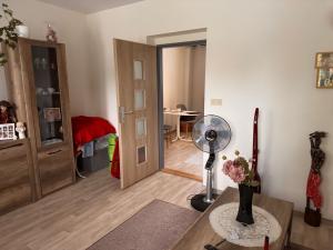 Pronájem bytu 1+1, Opava, Rybářská, 32 m2