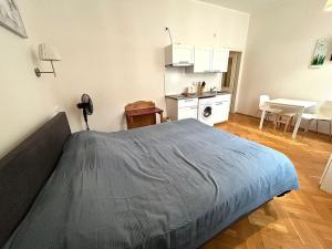 Pronájem bytu 1+kk, Praha - Žižkov, Orebitská, 25 m2