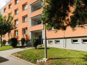 Pronájem bytu 1+1, Modřice, Sadová, 35 m2
