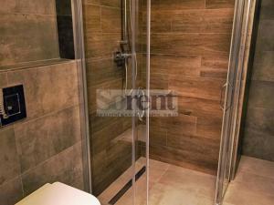 Pronájem bytu 1+kk, České Budějovice - České Budějovice 3, Riegrova, 47 m2