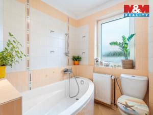 Prodej rodinného domu, Ústí nad Labem - Krásné Březno, Janáčkova, 299 m2