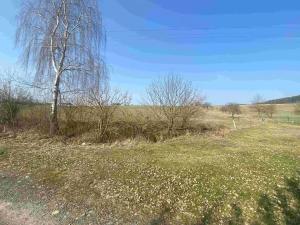 Dražba pozemku pro bydlení, Olešnice, 8201 m2