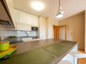Pronájem bytu 2+kk, Ostrava, Kaminského, 63 m2