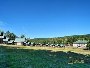 Prodej komerčního pozemku, Heřmánkovice, 40632 m2