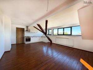 Pronájem bytu 3+kk, Osek, Tovární, 71 m2