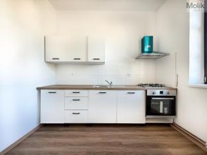 Pronájem bytu 3+kk, Osek, Tovární, 70 m2