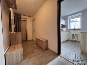 Pronájem bytu 1+1, Hodonín, Patočkova, 42 m2