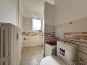 Pronájem bytu 1+1, Hodonín, Patočkova, 42 m2