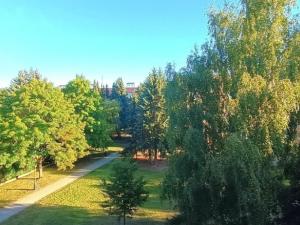 Prodej bytu 3+1, Jihlava, Březinova, 74 m2