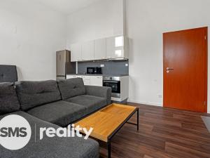 Pronájem bytu 1+kk, Opava - Město, Popská, 34 m2